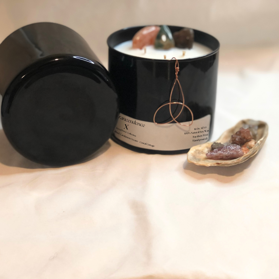 Transcendence X image 3